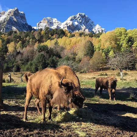Snoe Aragon Hills 4* Formigal