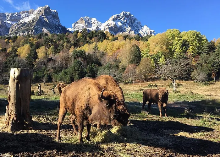 Snö Aragon Hills 4* Formigal